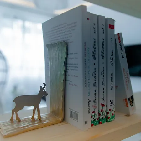 Apartment The Harmony Nest Coresi - Free Parking Brasov