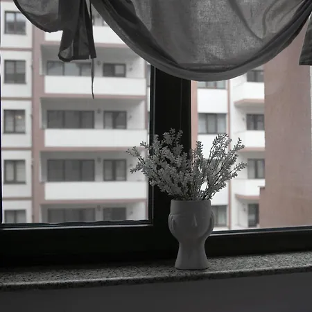 The Harmony Nest Coresi - Free Parking Apartment