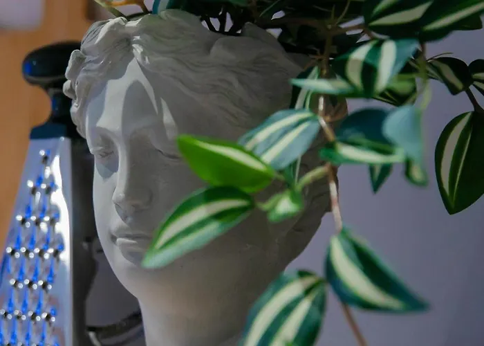 The Harmony Nest Coresi - Free Parking Apartament